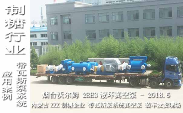 2018.6內蒙古某制糖企業帶瓦斯泵系統的2BE3液環(huán)真空泵案例